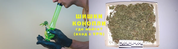 ГАЛЛЮЦИНОГЕННЫЕ ГРИБЫ Алзамай
