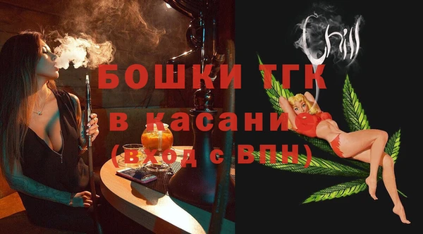 ГАЛЛЮЦИНОГЕННЫЕ ГРИБЫ Алзамай